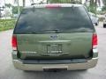 2003 Estate Green Metallic Ford Expedition Eddie Bauer  photo #7