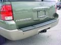 2003 Estate Green Metallic Ford Expedition Eddie Bauer  photo #9