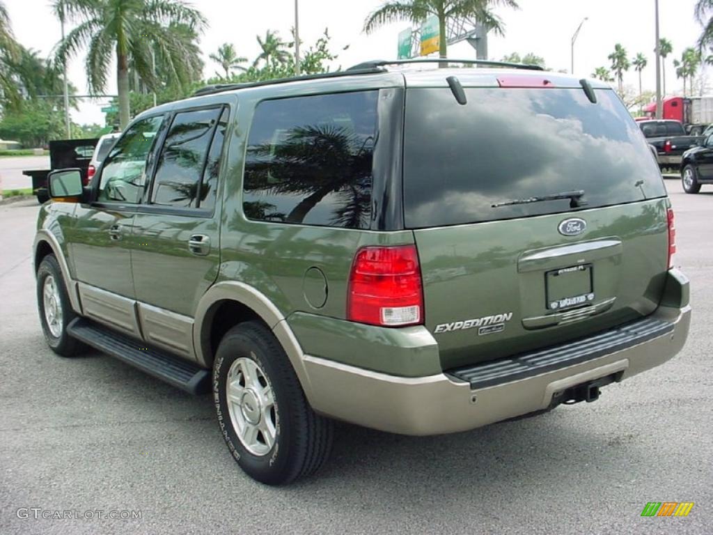 2003 Expedition Eddie Bauer - Estate Green Metallic / Medium Parchment photo #10