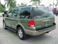 2003 Estate Green Metallic Ford Expedition Eddie Bauer  photo #10