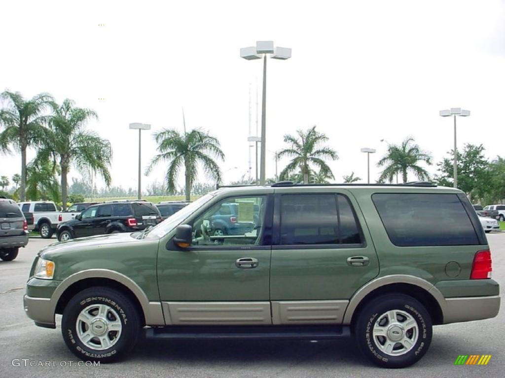 2003 Expedition Eddie Bauer - Estate Green Metallic / Medium Parchment photo #11