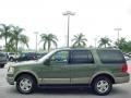 2003 Estate Green Metallic Ford Expedition Eddie Bauer  photo #11