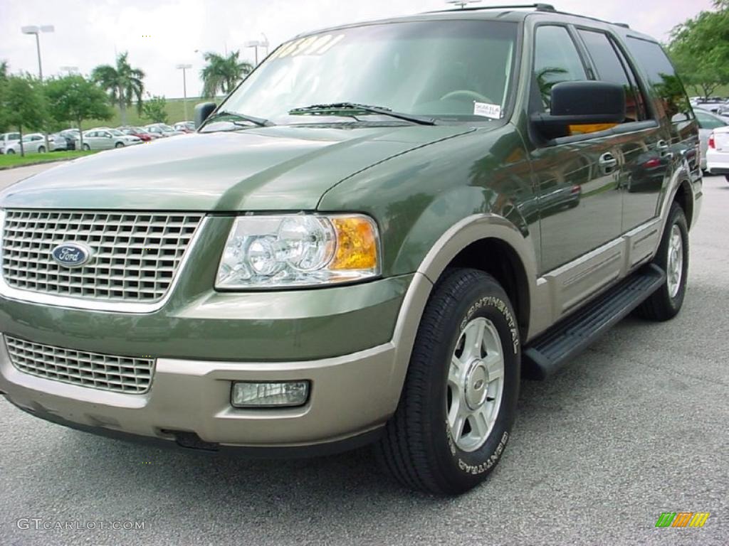2003 Expedition Eddie Bauer - Estate Green Metallic / Medium Parchment photo #14