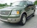 2003 Estate Green Metallic Ford Expedition Eddie Bauer  photo #14