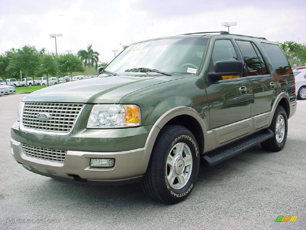 2003 Expedition Eddie Bauer - Estate Green Metallic / Medium Parchment photo #15