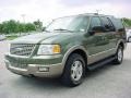 2003 Estate Green Metallic Ford Expedition Eddie Bauer  photo #15