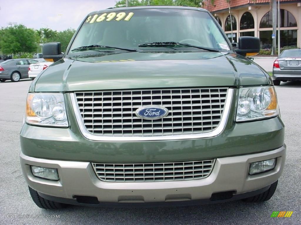 2003 Expedition Eddie Bauer - Estate Green Metallic / Medium Parchment photo #16