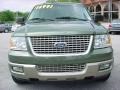 2003 Estate Green Metallic Ford Expedition Eddie Bauer  photo #16