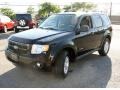 2009 Black Ford Escape Hybrid 4WD  photo #1
