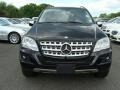 Black - ML 350 4Matic Photo No. 2