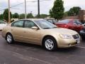 Velvet Beige - Altima 2.5 S Photo No. 2