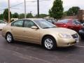 2002 Velvet Beige Nissan Altima 2.5 S  photo #2