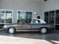 2005 Charcoal Beige Metallic Lincoln Town Car Signature Limited  photo #4