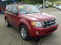 2009 Sangria Red Metallic Ford Escape XLT 4WD  photo #6