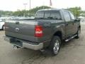 2007 Dark Shadow Grey Metallic Ford F150 XLT SuperCrew 4x4  photo #4