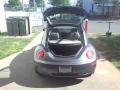 Platinum Grey - New Beetle 2.5 Coupe Photo No. 15