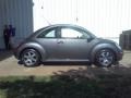 Platinum Grey - New Beetle 2.5 Coupe Photo No. 17