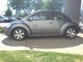 Platinum Grey - New Beetle 2.5 Coupe Photo No. 18