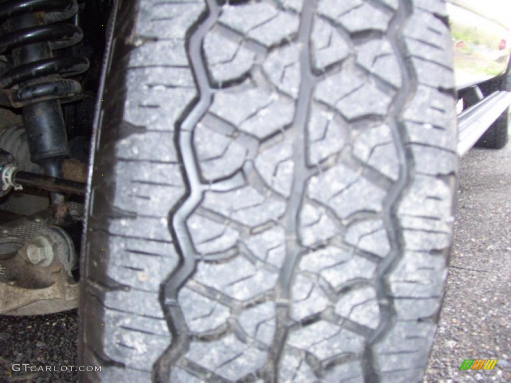 2006 F150 FX4 SuperCrew 4x4 - Black / Medium/Dark Flint photo #13