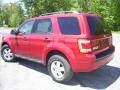 2009 Sangria Red Metallic Ford Escape XLT V6 4WD  photo #5