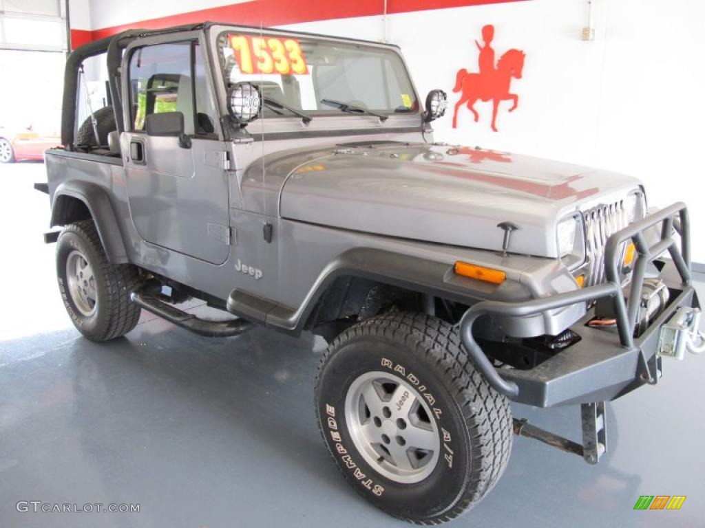 1993 Bright Silver Quartz Metallic Jeep Wrangler 4x4 29751436 Photo