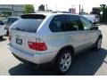Titanium Silver Metallic - X5 4.4i Photo No. 8