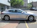 GT Silver Metallic - Panamera 4S Photo No. 8