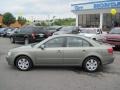 Natural Khaki Green - Sonata GLS V6 Photo No. 2