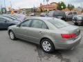 Natural Khaki Green - Sonata GLS V6 Photo No. 3