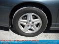 Medium Gray Metallic - Monte Carlo SS Photo No. 17
