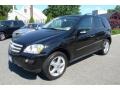 Black - ML 350 4Matic Photo No. 5