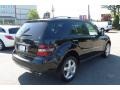 Black - ML 350 4Matic Photo No. 6