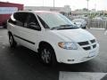 Stone White - Caravan SXT Photo No. 2