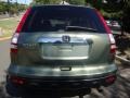 2008 Green Tea Metallic Honda CR-V EX 4WD  photo #5