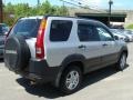 2004 Satin Silver Metallic Honda CR-V EX 4WD  photo #5