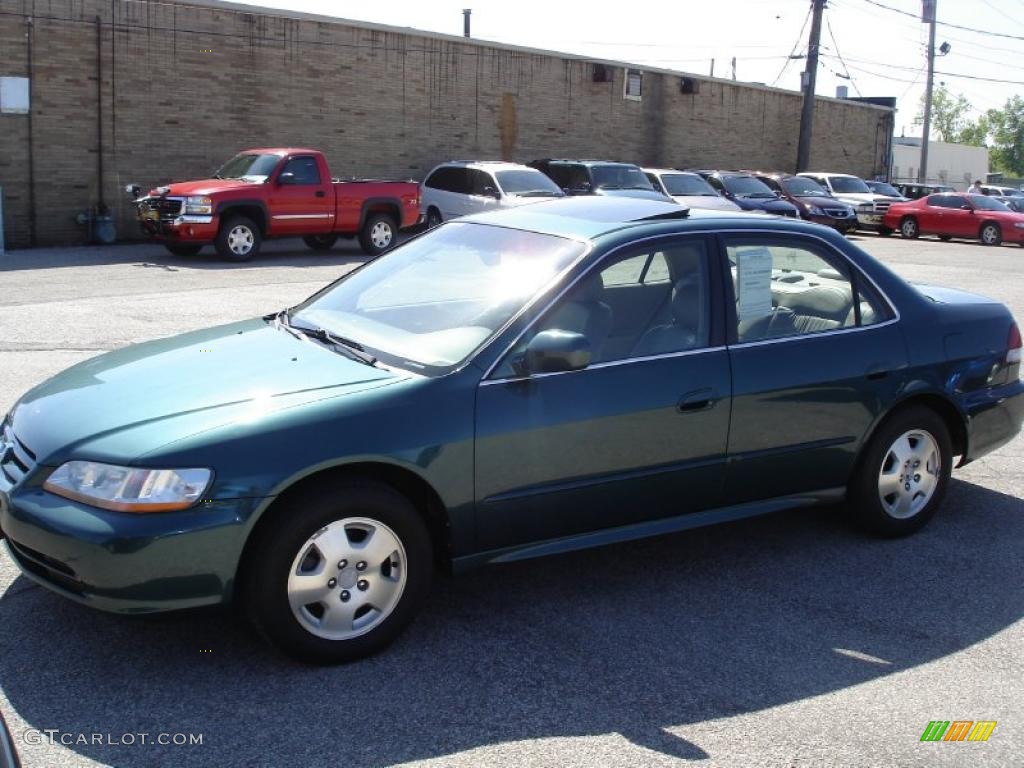 2002 Accord EX V6 Sedan - Noble Green Pearl / Ivory photo #2