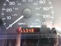 Sandrift Metallic - Cavalier LS Sedan Photo No. 15