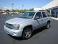 Moondust Metallic - TrailBlazer LS 4x4 Photo No. 7