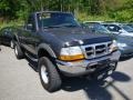 Medium Platinum Metallic 1999 Ford Ranger XLT Regular Cab 4x4