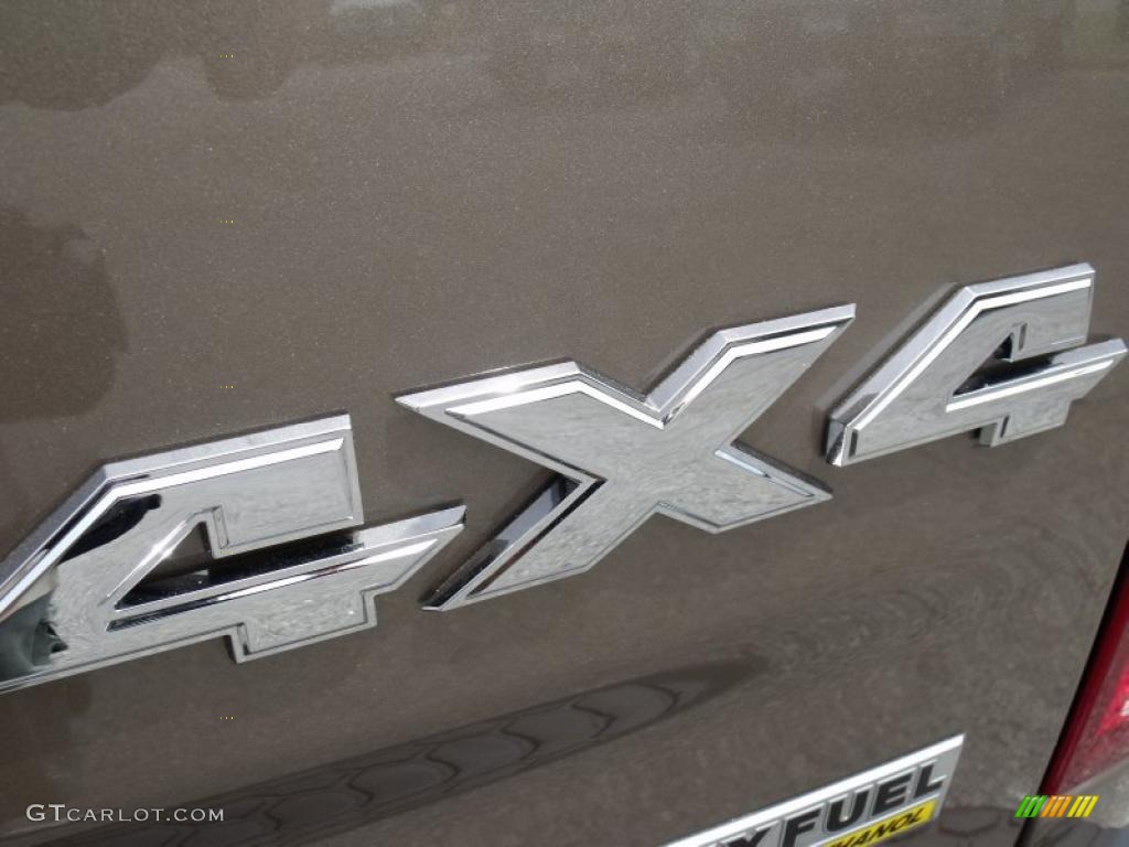 2010 Ram 1500 ST Quad Cab 4x4 - Austin Tan Pearl / Dark Slate/Medium Graystone photo #10