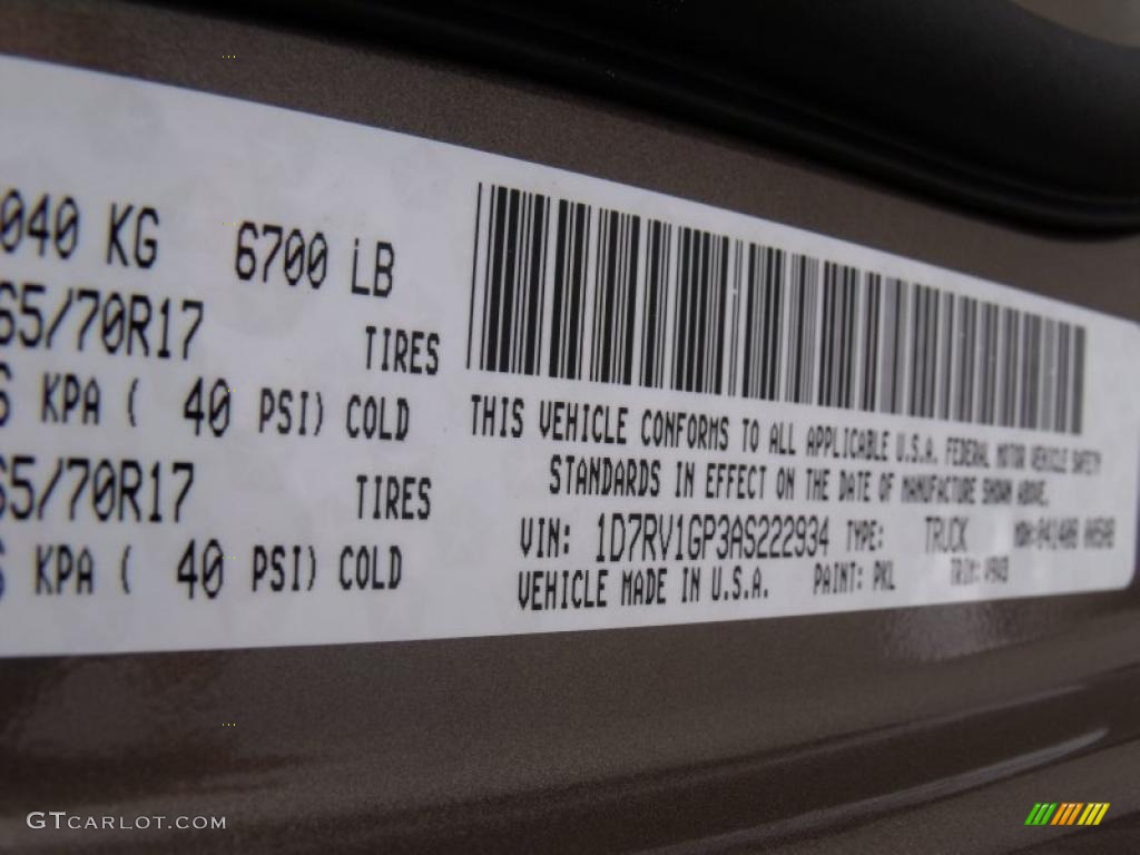 2010 Ram 1500 ST Quad Cab 4x4 - Austin Tan Pearl / Dark Slate/Medium Graystone photo #20