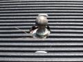 Dark Copper Metallic - F450 Super Duty King Ranch Crew Cab 4x4 Dually Photo No. 12