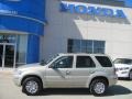 Gold Ash Metallic - Mariner Luxury 4WD Photo No. 3