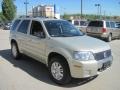 Gold Ash Metallic - Mariner Luxury 4WD Photo No. 6