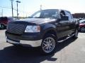 2005 Dark Shadow Grey Metallic Ford F150 XLT SuperCrew 4x4  photo #1