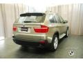 2009 Platinum Bronze Metallic BMW X5 xDrive30i  photo #2