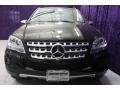 Black - ML 350 Photo No. 2