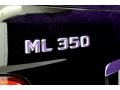 Black - ML 350 Photo No. 47