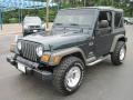 2005 Deep Beryl Green Pearl Jeep Wrangler X 4x4  photo #3