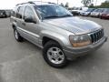Silverstone Metallic - Grand Cherokee Laredo Photo No. 1